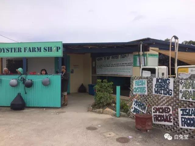 「白兔堂」可能只有不到10%的游客在澳洲玩到了这些!你玩对了吗?