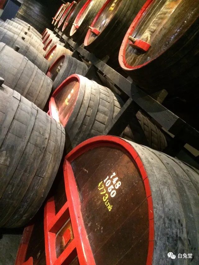 「白兔堂」可能只有不到10%的游客在澳洲玩到了这些!你玩对了吗?