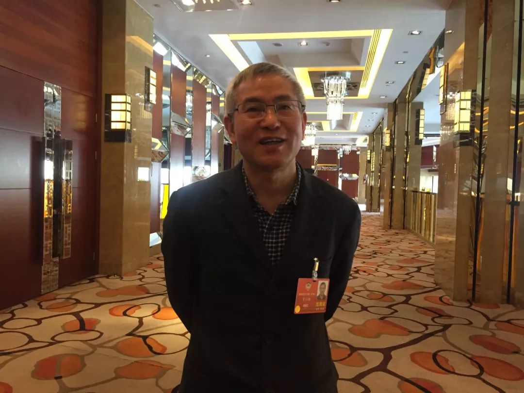 中国人败类,中国人的败类