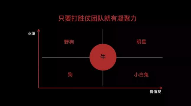 马云:兔子对公司危害更大