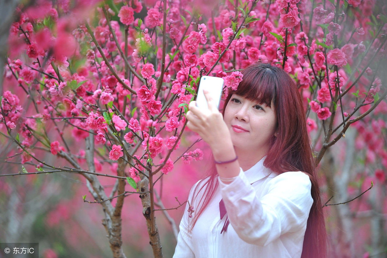 流年运势查询图表大全详解,流年运气怎么看吉和凶呢