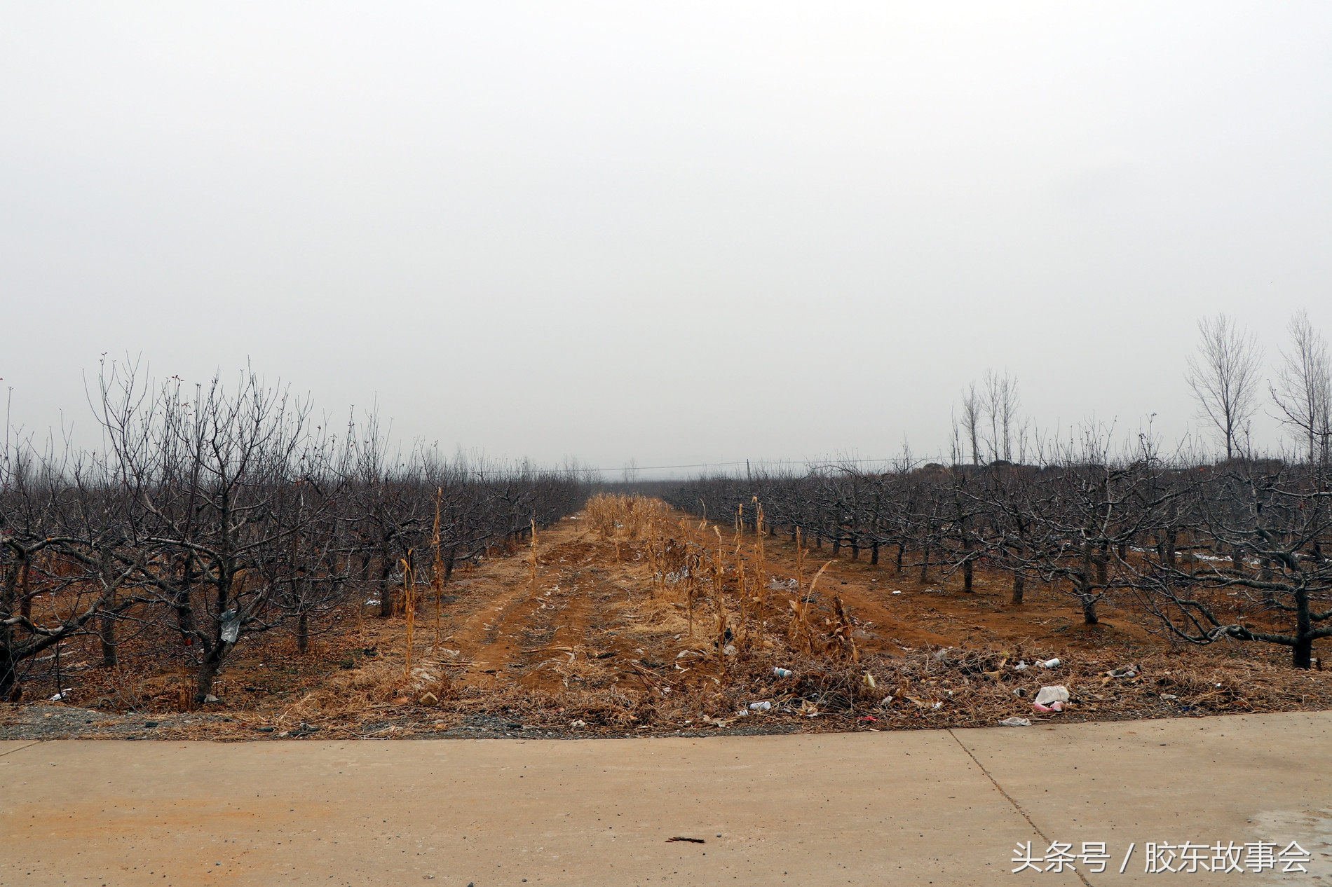 烟台栖霞区地貌,烟台栖霞海拔高度是多少