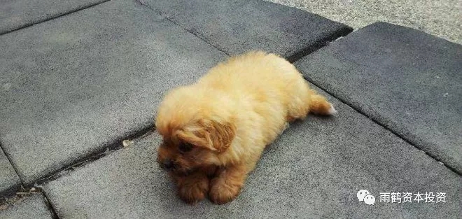 华尔街经典选股术,华尔街炒股十大经验