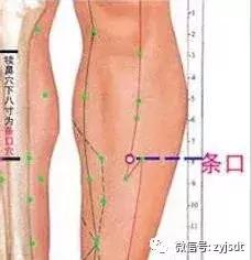 中医减肥降脂化痰祛湿方剂,祛湿化痰减肥药方