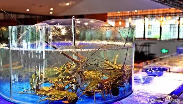 武汉最值得人多去的餐厅,武汉最会吃的人