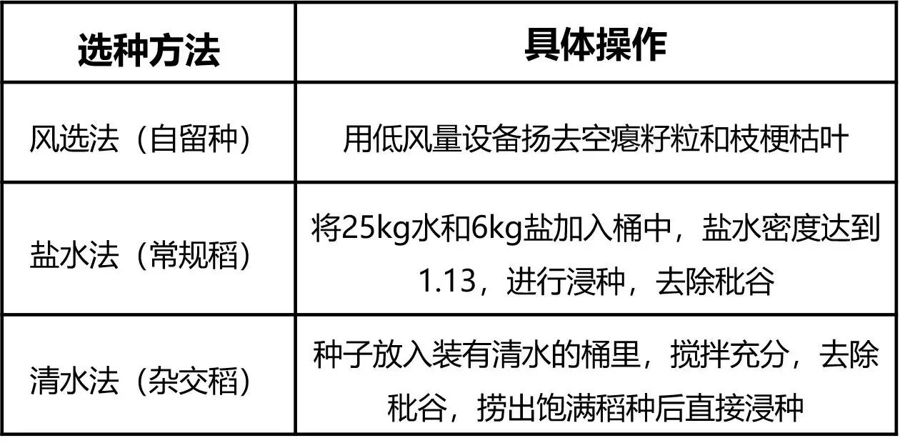 老司机快上车方法,老司机是如何收割水稻的