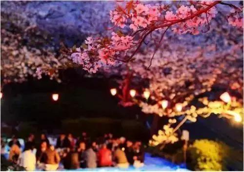 重磅日本签证失效何时恢复,去日本看樱花需要办签证吗