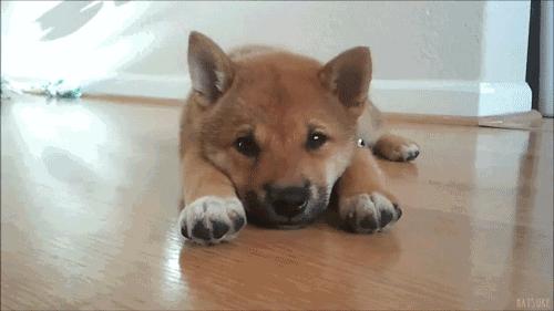 锻炼括约肌的动作,括约肌锻炼动作图解