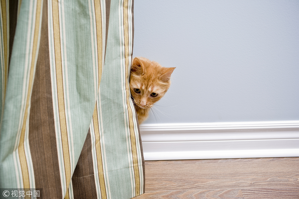 余光强迫症高中,余光强迫症退学