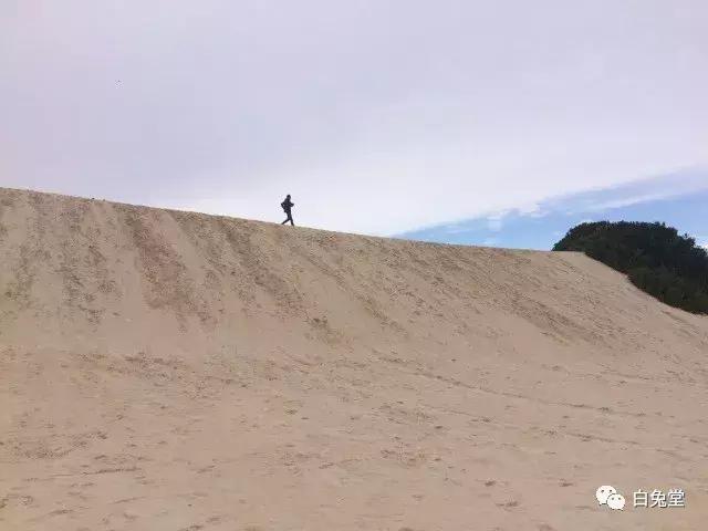 「白兔堂」可能只有不到10%的游客在澳洲玩到了这些!你玩对了吗?