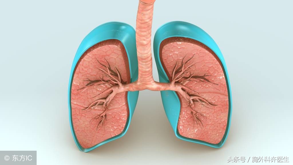 胸部手术后怎么推拿调理,胸部手术康复吃什么