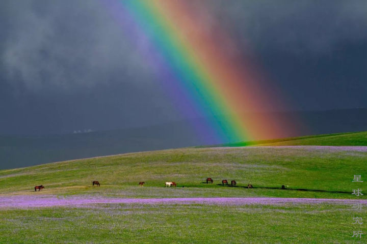 伊犁这个偏远的西部城市,新疆伊犁市靠近哪个位置