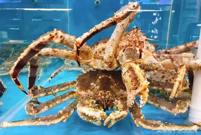 武汉最值得人多去的餐厅,武汉最会吃的人