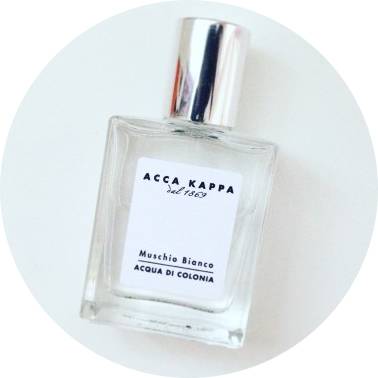 腊梅哪款好用,十大最好的腊梅