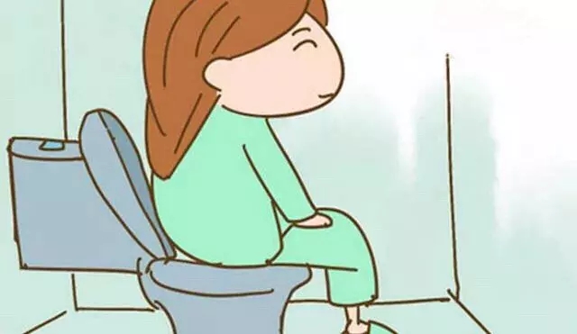 盆底肌和尿道括约肌的关系3d图解,盆底肌知识全解