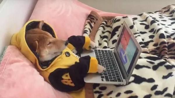 直男送给女生的礼物推荐实用,直男送的超暖心礼物