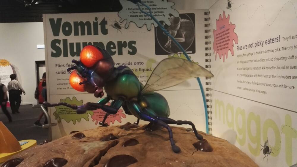 香港旅游攻略自由行,香港嘉里酒店自由行热门攻略