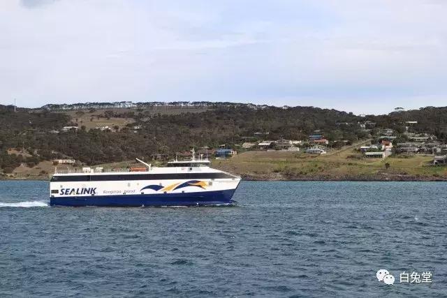 「白兔堂」可能只有不到10%的游客在澳洲玩到了这些!你玩对了吗?