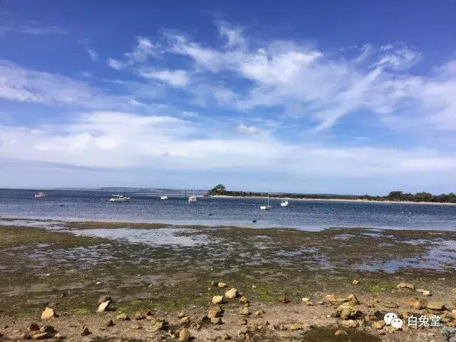 「白兔堂」可能只有不到10%的游客在澳洲玩到了这些!你玩对了吗?