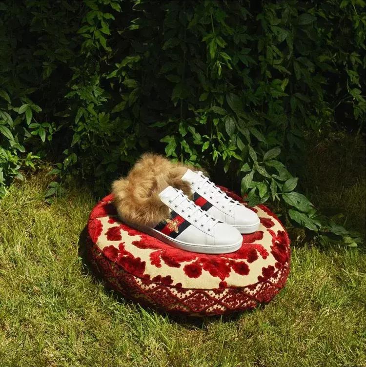 小白鞋的打开方法,小白鞋巅峰之作