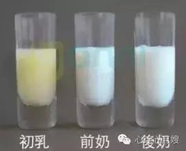 母乳性黄疸停母乳后大便颜色,母乳正常应该是什么颜色