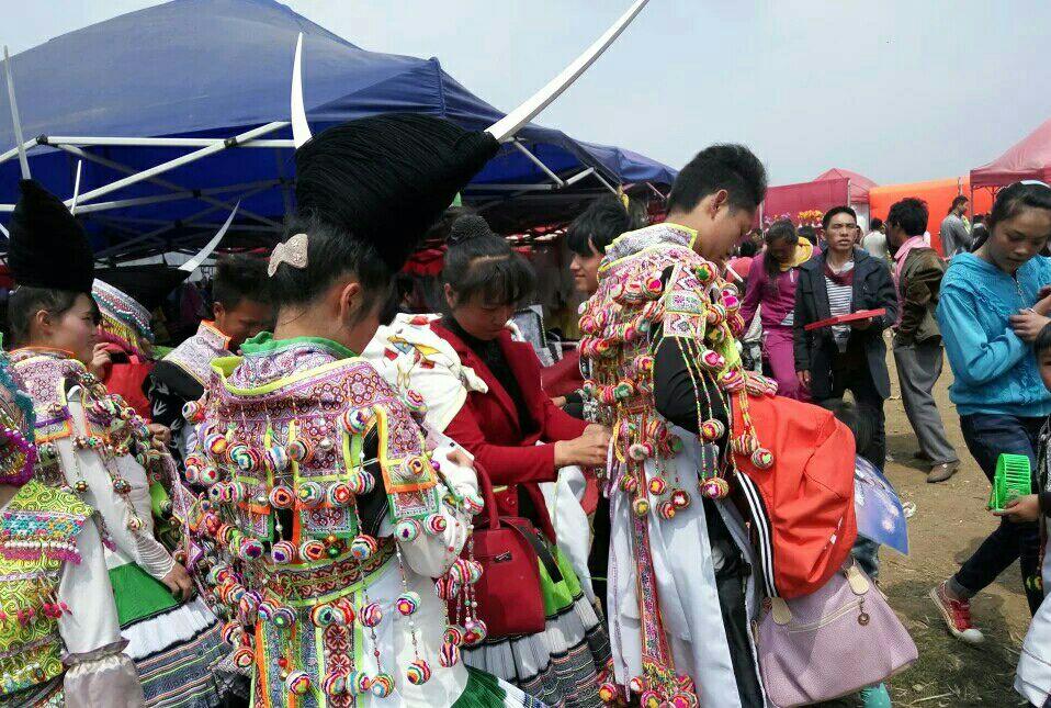 世界苗族最多的国家,世界苗族分布图