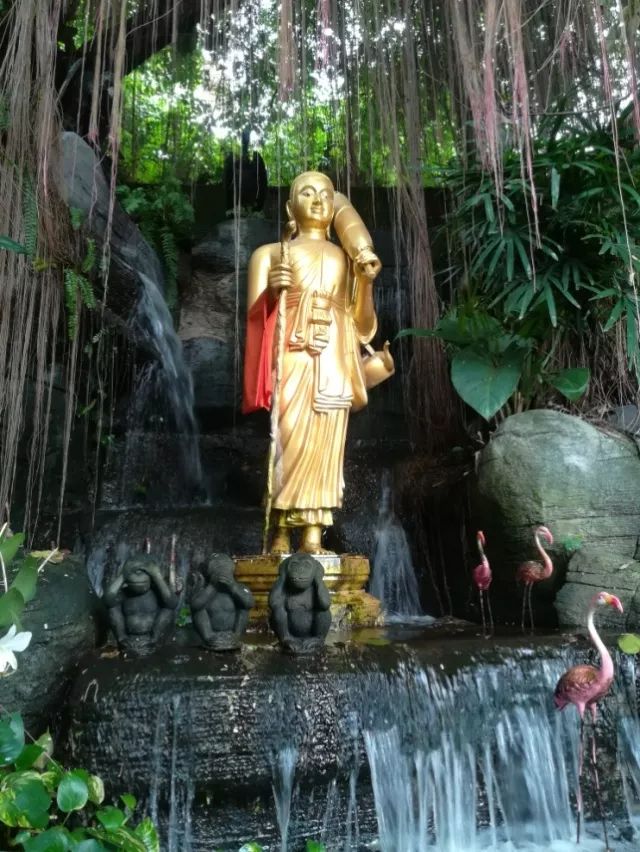 君行体验官专栏丨他在佛之国度,邂逅了一场浪漫