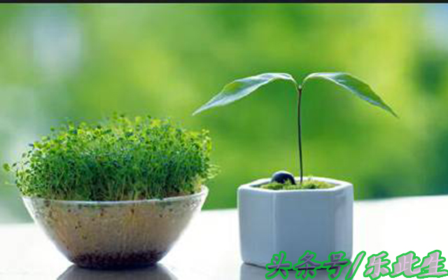 100个智慧生活小知识,100个实用生活小技巧拿走不谢