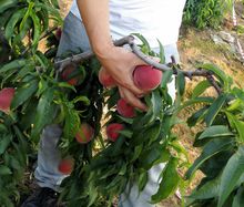 新生代食物,新生代食品包装设计
