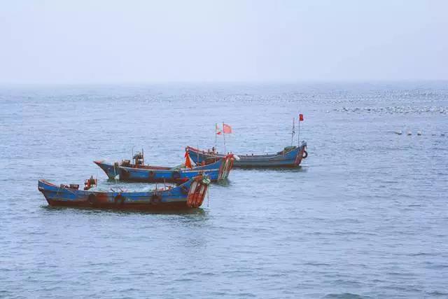 浙江自驾游小岛渔村,浙江小渔村旅游攻略2-3天短途旅游