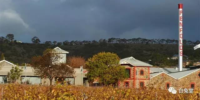「白兔堂」可能只有不到10%的游客在澳洲玩到了这些!你玩对了吗?
