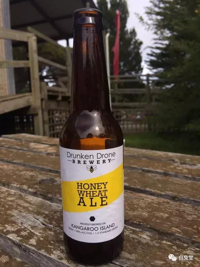 「白兔堂」可能只有不到10%的游客在澳洲玩到了这些!你玩对了吗?