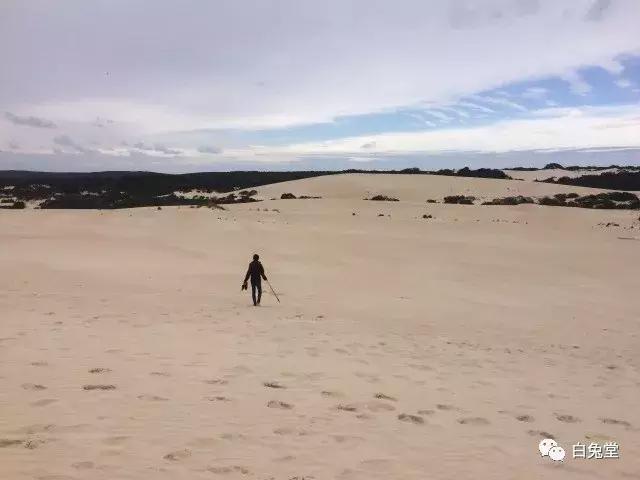 「白兔堂」可能只有不到10%的游客在澳洲玩到了这些!你玩对了吗?