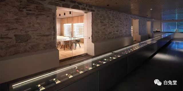 「白兔堂」可能只有不到10%的游客在澳洲玩到了这些!你玩对了吗?