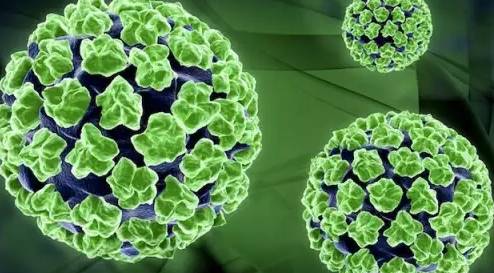 天津怎么预约四价,天津四价hpv疫苗预约