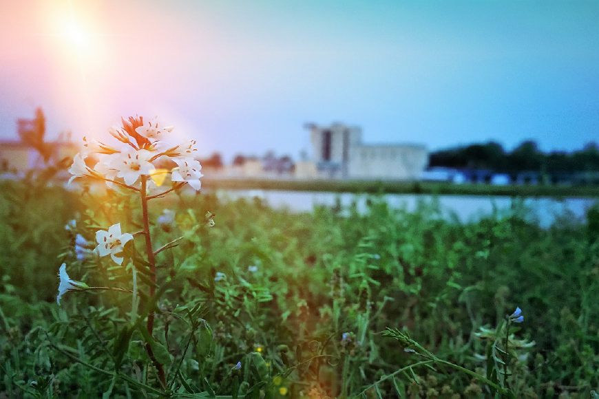 我真的讨厌异地军恋,但我也是真的爱你