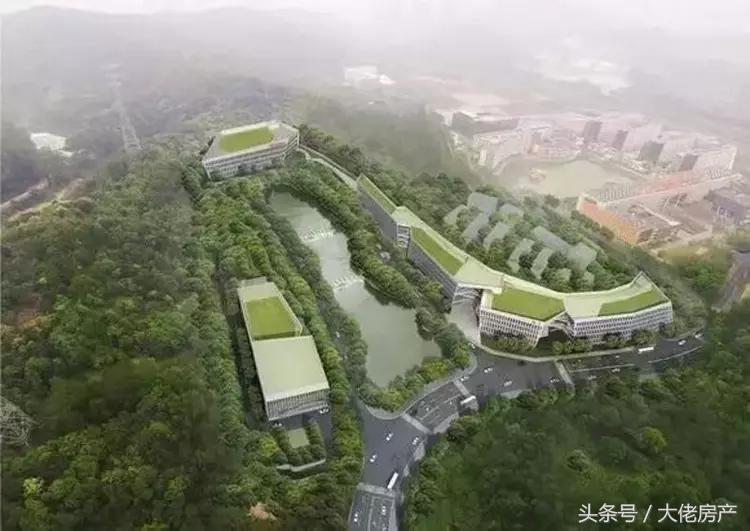 网易丁磊第一个游戏,丁磊说网易总部广州