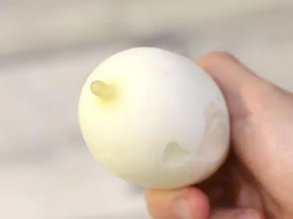 国外什么牌子的冰淇淋最好吃?