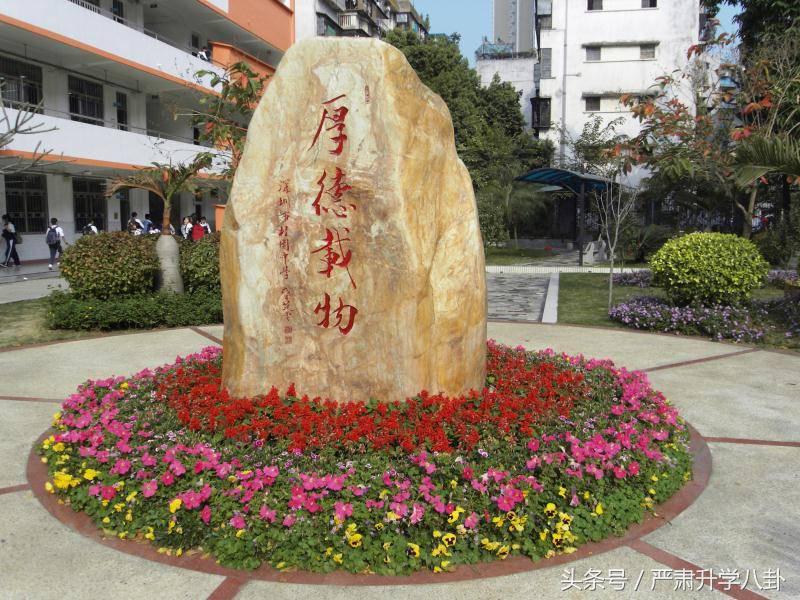 普高率比深圳低的城市,公办普高哪些分数低