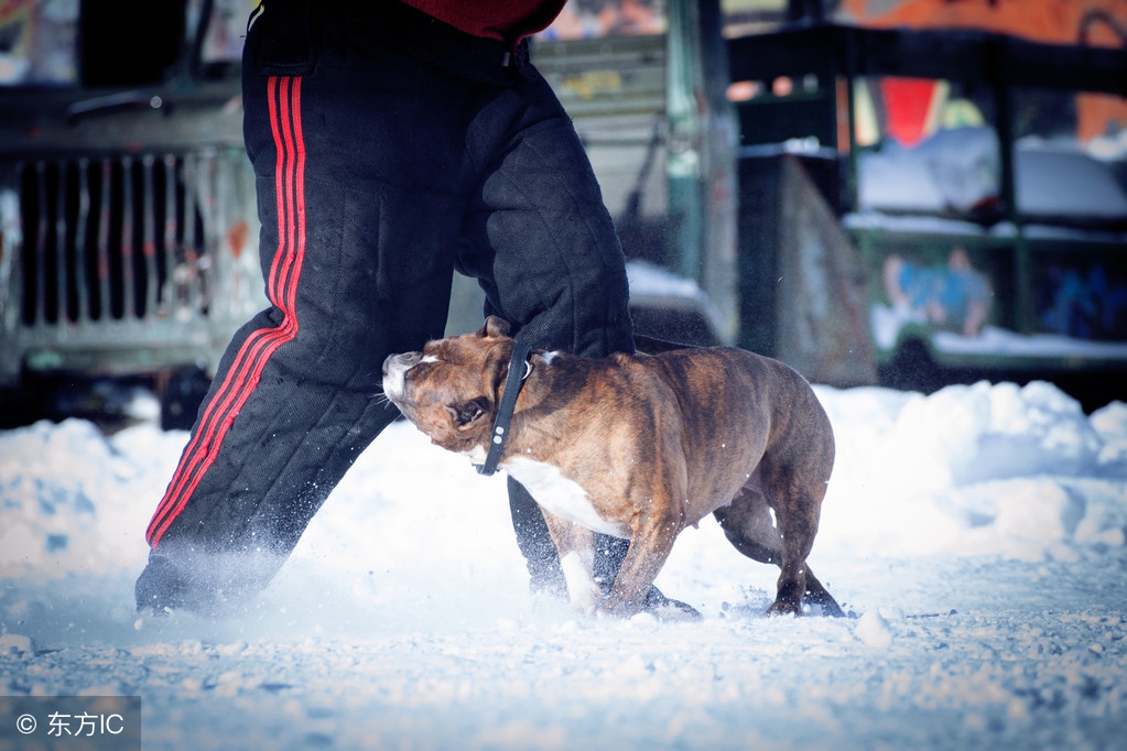 恐狂症与狂犬病的敏感区别,恐狂是什么