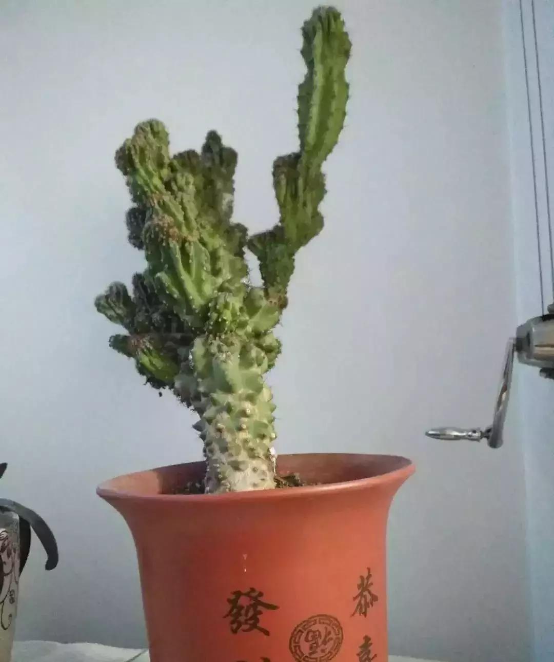 盘点女神节礼物,盘点女神节收到的奇葩礼物