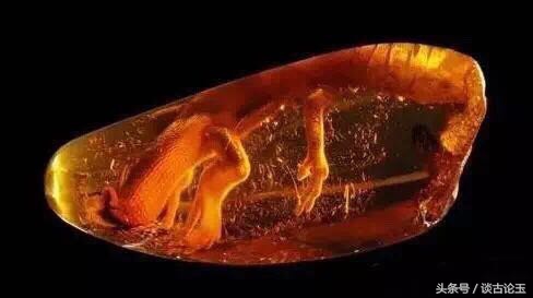 上亿年的琥珀值多少钱,三个价值上亿的琥珀