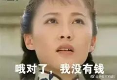 腊梅哪款好用,十大最好的腊梅