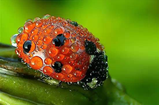 相机拍摄入门基础知识光圈优先,摄影实战入门单反基础之正确曝光