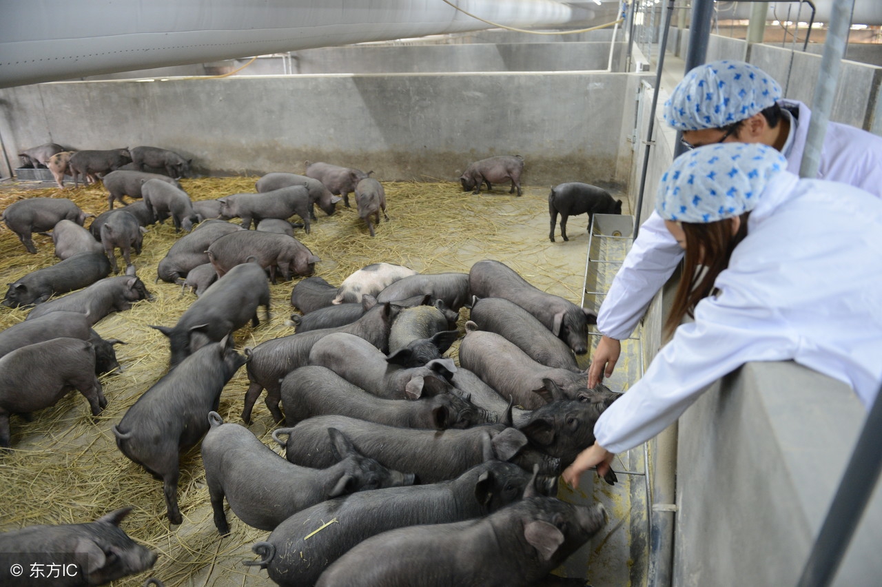 盘点|中国业内大佬那些“不务正业”的爱好,第一个就诧异了!