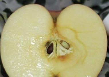 抗初老细腻皮肤护肤推荐,抗氧化抗衰老的国货护肤品