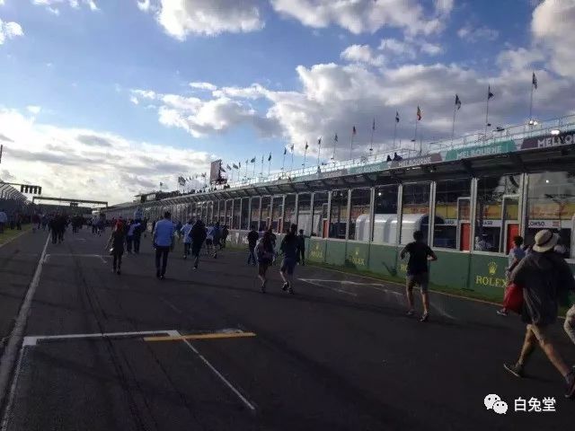 「白兔堂」可能只有不到10%的游客在澳洲玩到了这些!你玩对了吗?