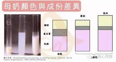 母乳性黄疸停母乳后大便颜色,母乳正常应该是什么颜色
