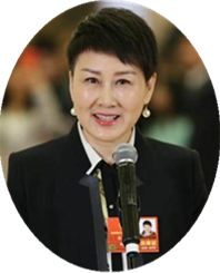 中国人败类,中国人的败类