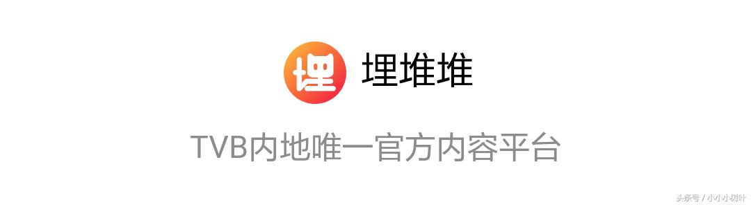 tvb电视剧免费app,tvb最新电视剧在哪个app可以看